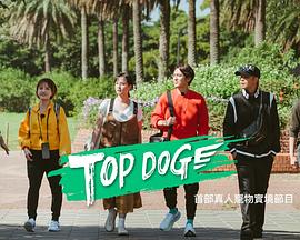 91果冻传媒《TOP DOG》免费在线观看
