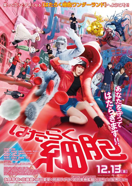 91果冻《工作细胞 真人版 はたらく細胞》免费在线观看